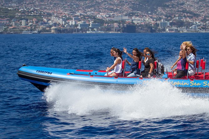 Funchal Speedboat Sealife Tour  - Madeira - Key Points