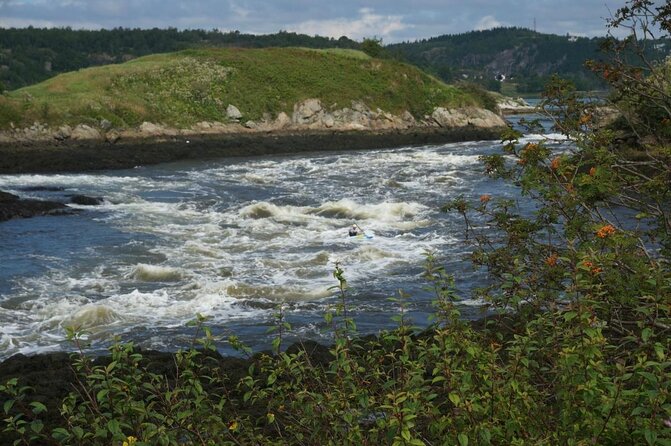 Fundy Coast to Fundy Shore Tour - Key Points