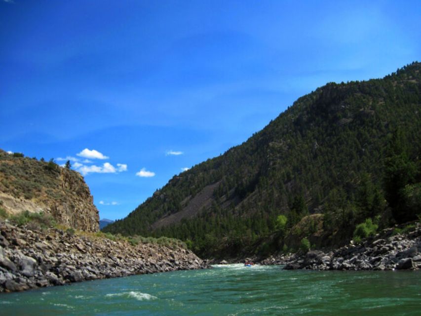 Gardiner: Yellowstone River Half-Day Whitewater Rafting - Key Points