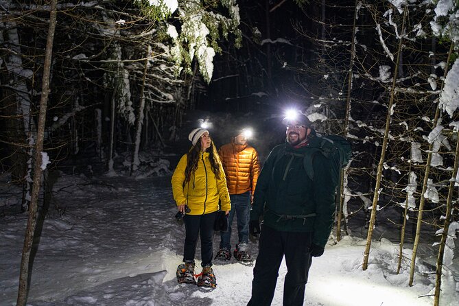 Gatineau Park Nocturnal Snowshoeing Adventure & Dinner - From Ottawa & Gatineau - Key Points