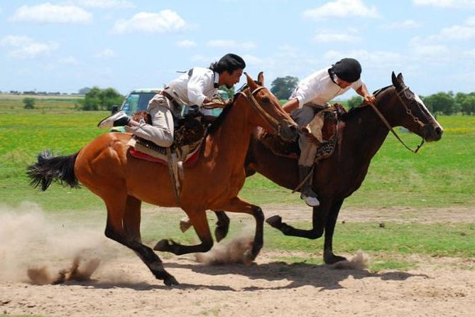 Gaucho Day Tour Don Silvano Estancia From Buenos Aires - Key Points