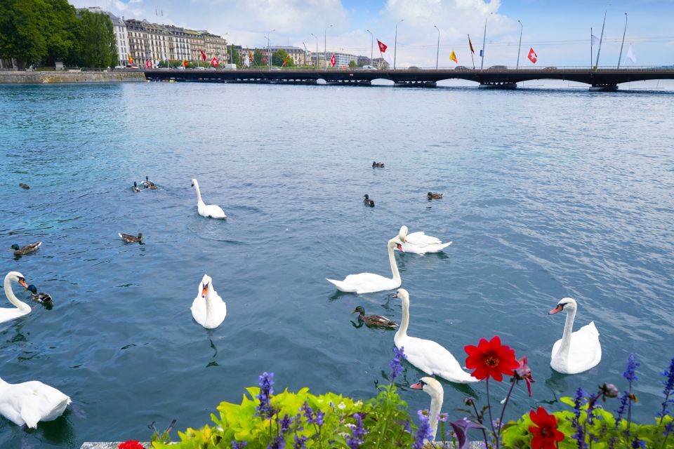 Geneva: First Discovery Walk and Reading Walking Tour - Key Points