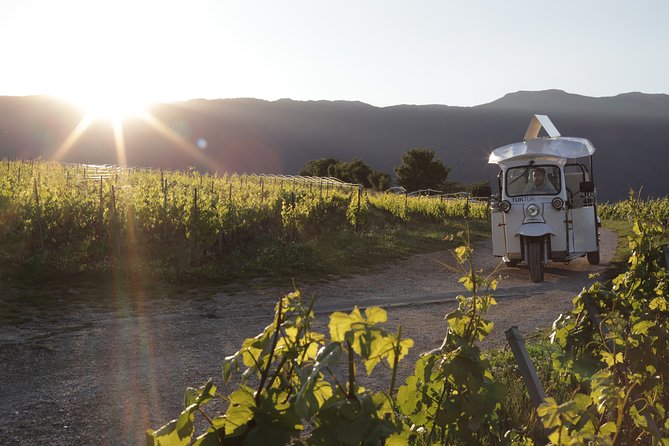 Geneva Panoramic & Tasting Vineyards Tour in an Electric Tuk Tuk - Key Points