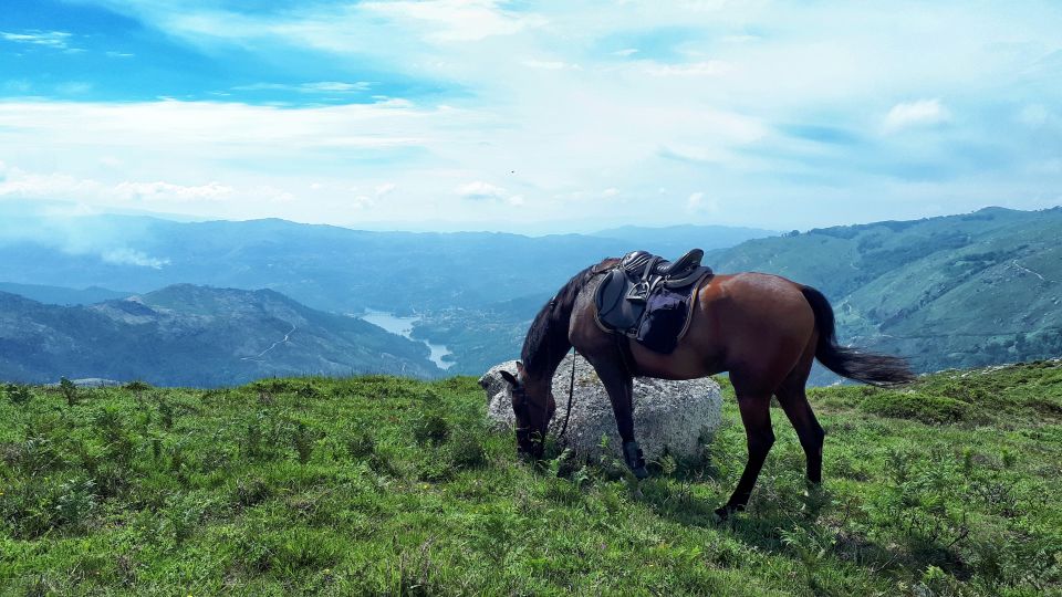 Gerês Braga: Horseback Ride in Peneda Gerês National Park - Key Points