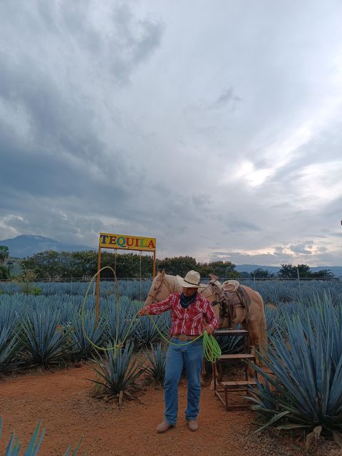 Get on Chile: Know Everything About Tequila in "La Rienda" - Key Points