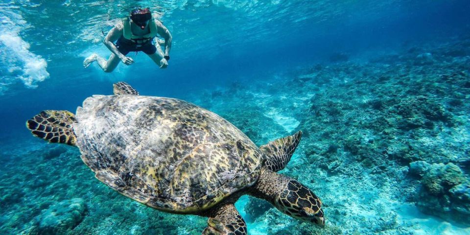 Gili Islands: Underwater Statues Cruise and Snorkeling - Key Points