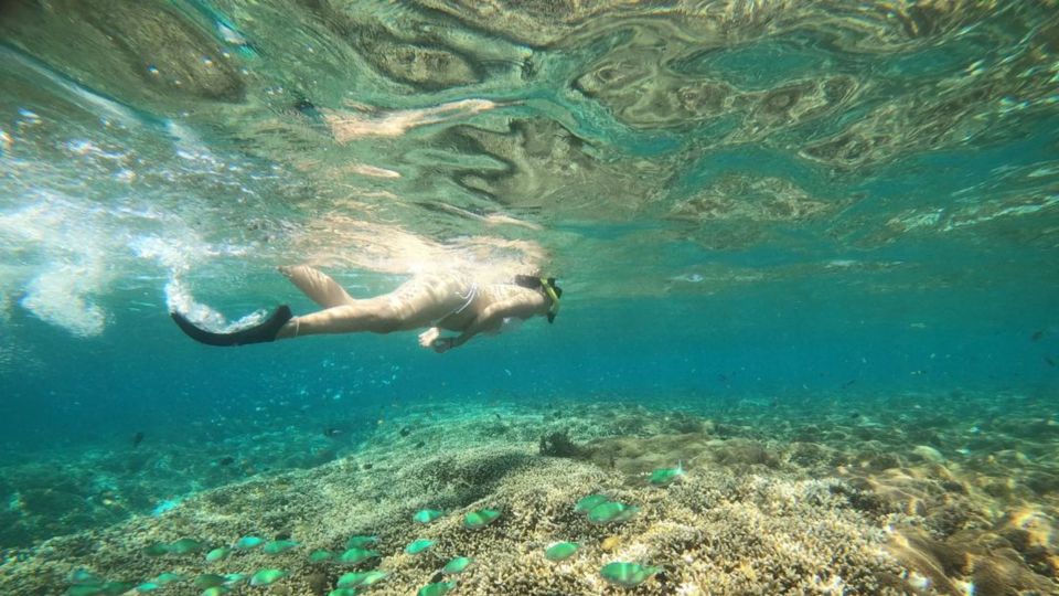 Gili Trawangan: Gili Island 3 Spots Snorkeling With Turtle - Key Points