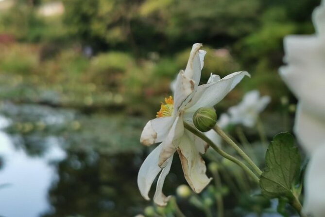 Giverny & Honfleur Private Tour From Paris - Tour Details