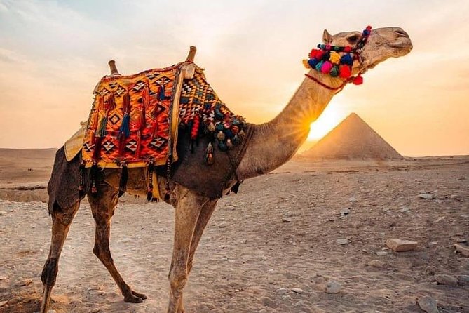 Giza Private Sunrise Pyramid Camel Ride  - Bawiti - Key Points