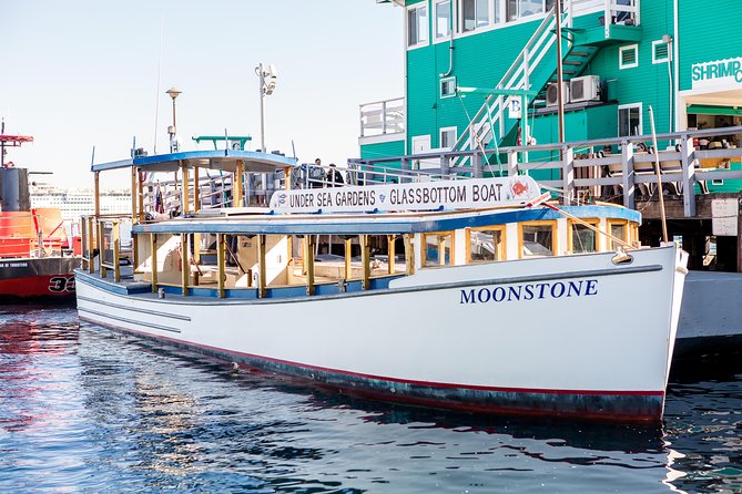 Glass Bottom Boat: Catalina Island Tour - Key Points
