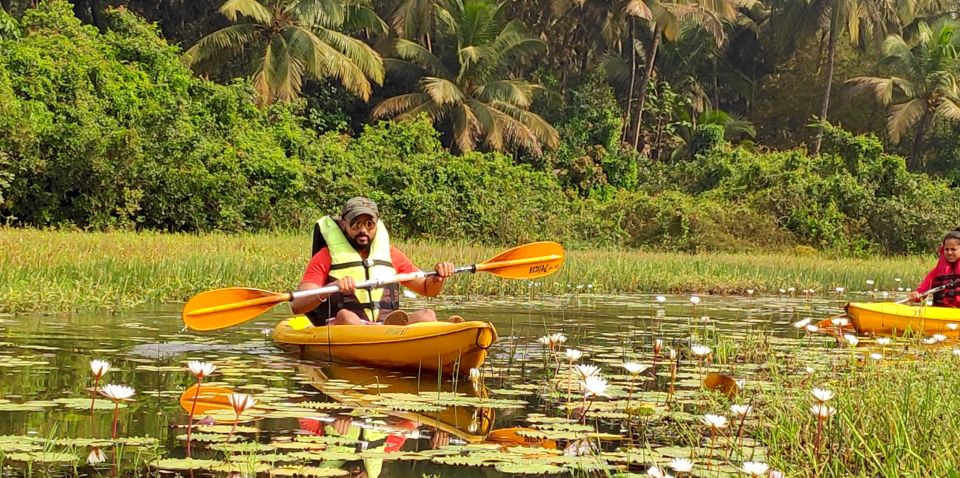 Goa: Backwaters and Mangrove Kayaking Experience - Key Points