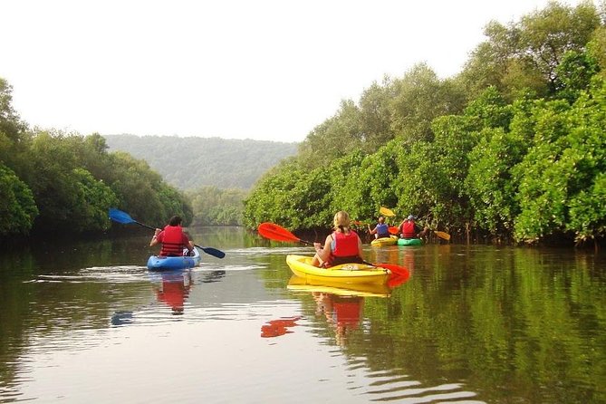 Goa Kayaking in Spikes River - Key Points