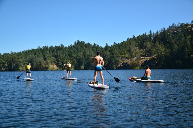Gorge Waterway Standup Paddleboarding  - Vancouver Island - Key Points