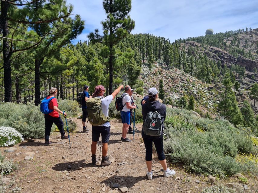 Gran Canaria: "Peaks of Gran Canaria" Hiking Tour - Key Points