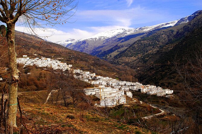 Granada Full-Day Trevelez Tour With Ham Factory - Key Points