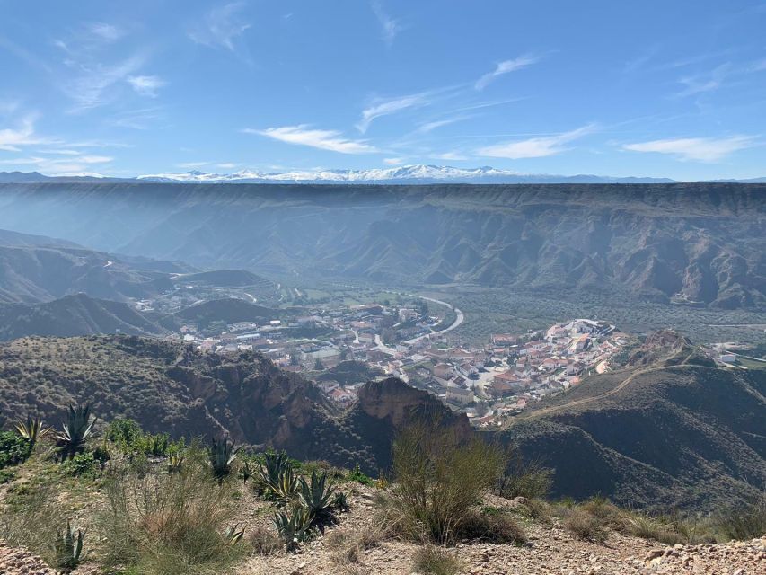 Granada Geopark: Desert and Prehistory Tour With Lunch - Key Points