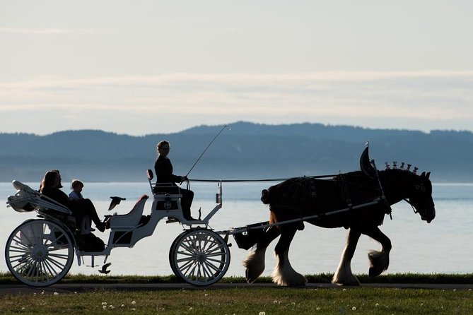 Grand Horse-Drawn Carriage Tour of Victoria - Key Points