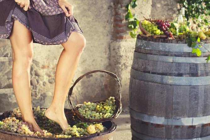 Grape Stomping in Tuscan Farmhouse From Florence - Key Points