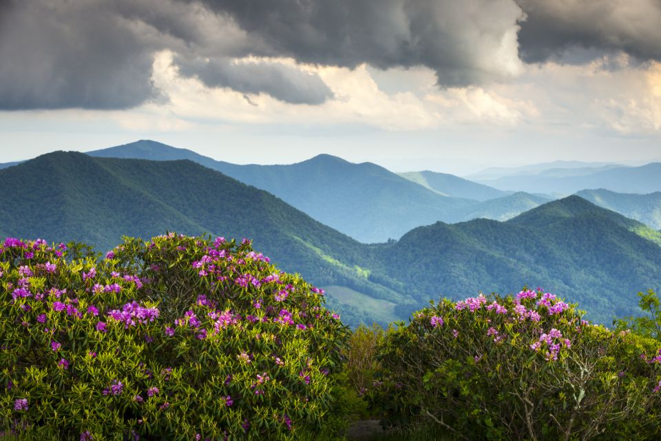 Great Smoky Mountains National Park Self-Guided Driving Tour - Key Points