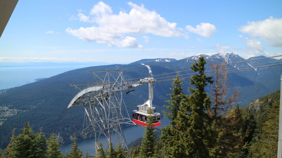 Grouse Mountain & Capilano Suspension Bridge Park Adventure - Key Points