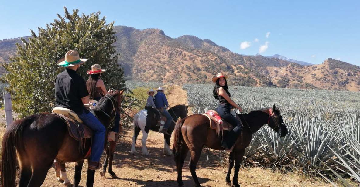 Guadalajara: Horse Riding on the Tequila Route With Tastings - Key Points