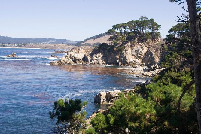 Guided 2-Hour Point Lobos Nature Walk - Key Points