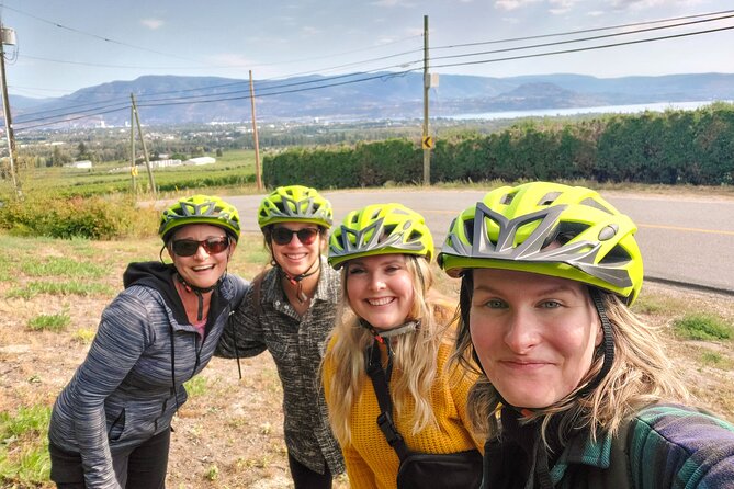 Guided E-Bike Wine Tour With Tastings and Lunch - Key Points