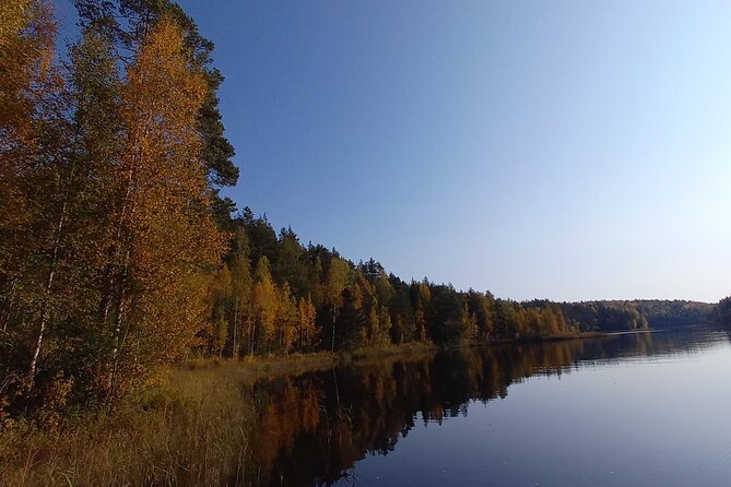 Guided E-Fatbike Trek in Repovesi National Park - Key Points