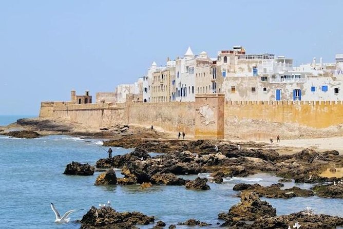Guided Essaouira Day Trip From Agadir & Taghazout - Key Points