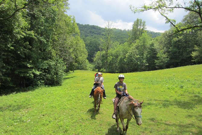Guided Horseback Ride Through Flame Azalea and Fern Forest - Activity Highlights
