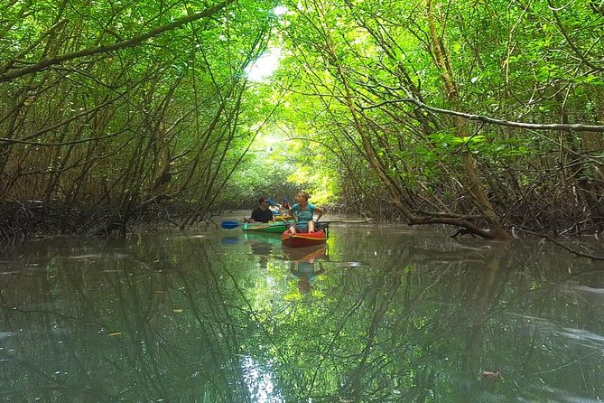 Guided Kayak Tour of Khao Lak Mangroves - Key Points