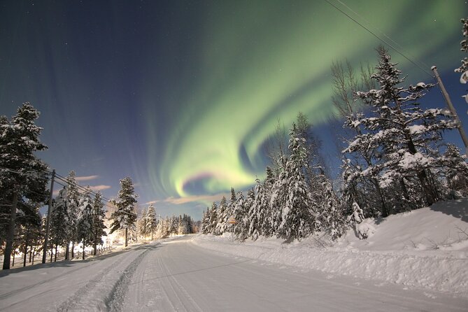Guided Northern Lights Tour at Kiruna - Tour Overview
