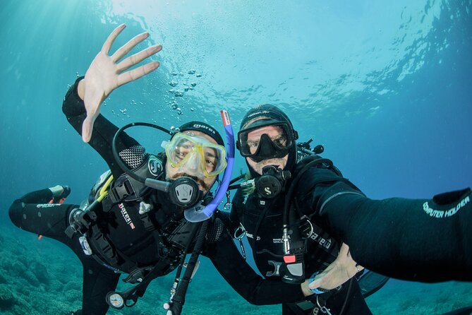 Guided Scuba Diving for Beginners Without License From Sorrento (5 Hours) - Key Points