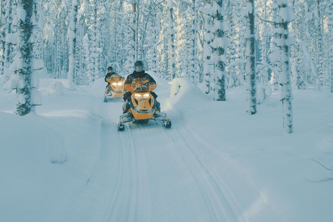 Guided Snowmobile Safari in Central Finland (Mar ) - Key Points