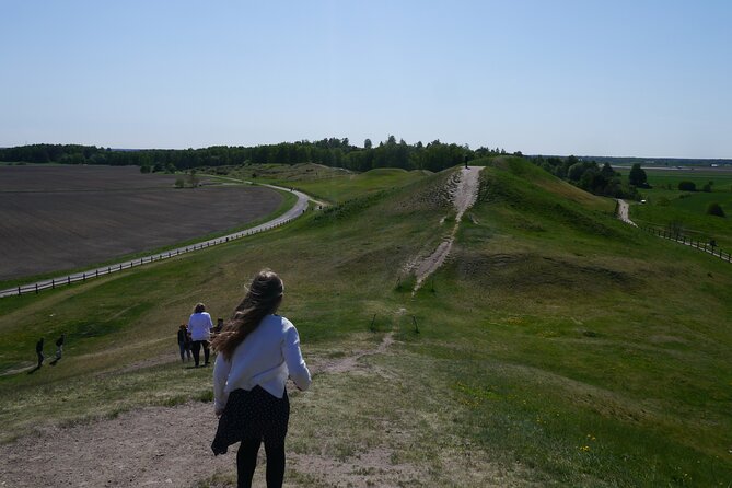 Guided Tour 90min at Old Uppsala Mounds and Old Uppsala Church - Key Points