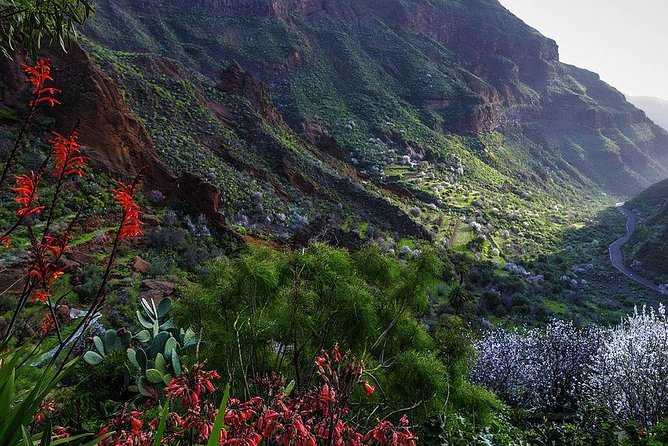 Guided Tour: Discover Gran Canaria - Tour Highlights