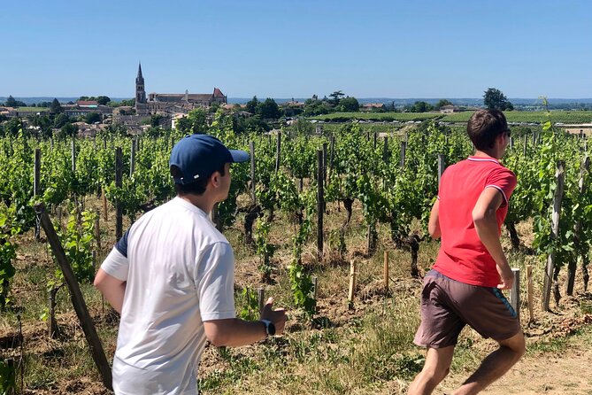 Guided Tour of the Vineyard of Saint Emilion on Foot - Key Points