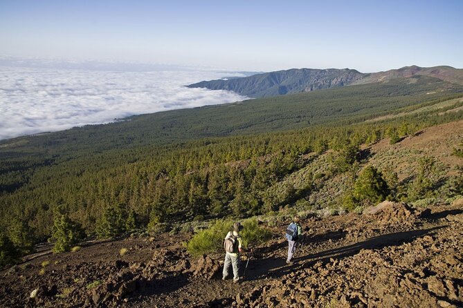Guided Tour to Teide National Park in Tenerife - Tour Overview