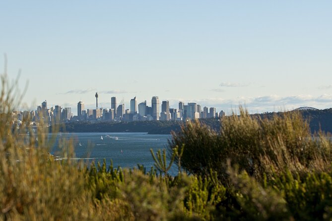 Guided Walk in North Head, Manly With Nature, History and Culture - Key Points