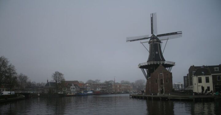 Haarlem: 'The Rise of Haarlem' Guided Walking Tour - Key Points