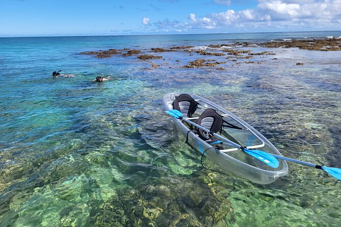 Haleiwa Small-Group Kayak and Snorkel Tour  - Oahu - Key Points