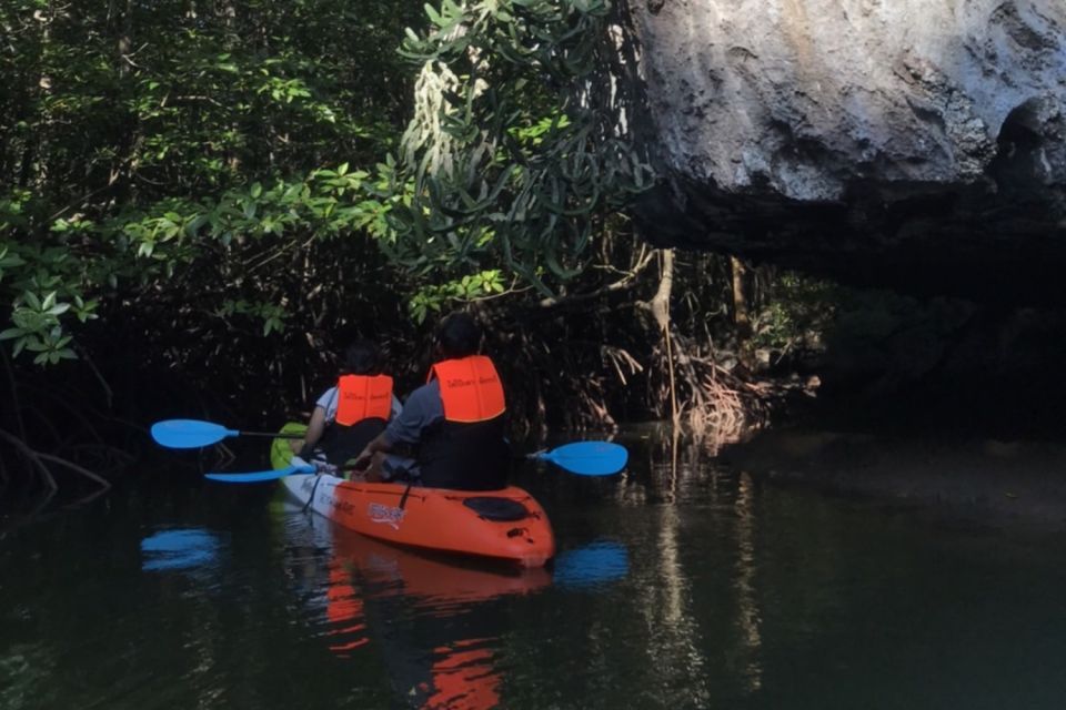 Half Day Adventure Kayaking at Mangrove Forest - Key Points