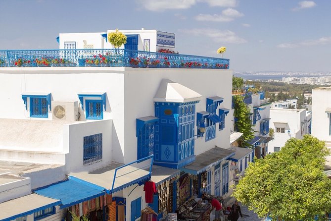 Half-Day Carthage, Sidi Bou Said Private Tour From Tunis or Hammamet - Key Points
