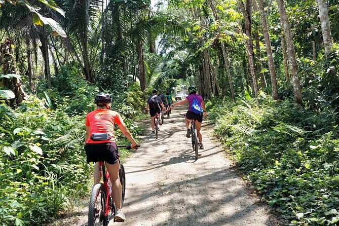 Half-Day Countryside Cycling Small-group Tour in Phuket - Key Points