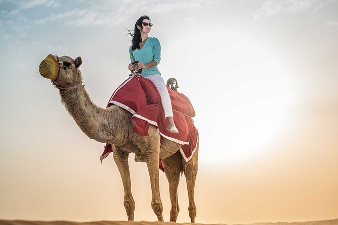 Half-Day Desert Safari Dubai With BBQ Dinner - Key Points