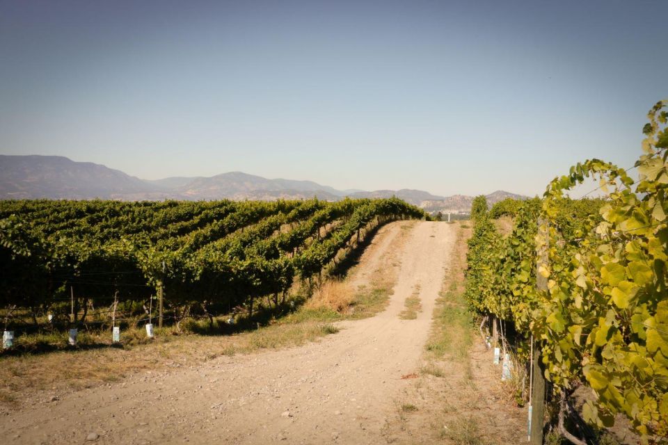 Half-Day East Kelowna Wine Tour - Key Points