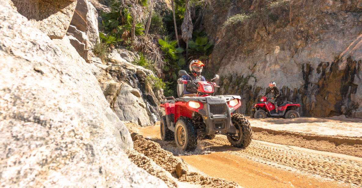 Half-Day Guided ATV Tour at Migriño Area - Key Points