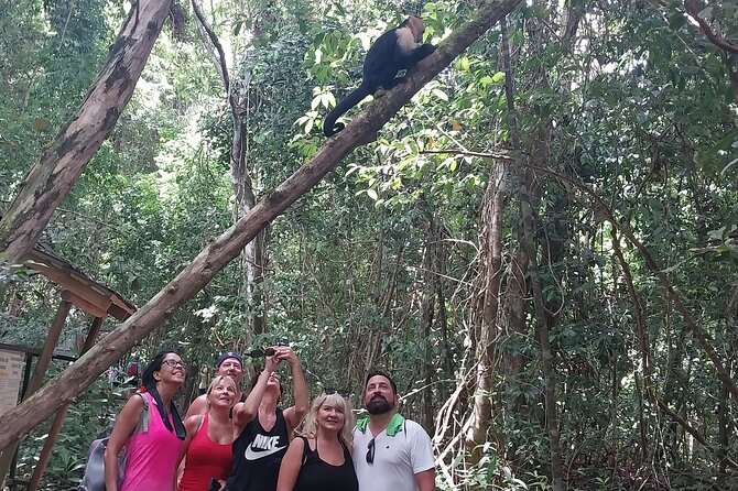 Half Day Guided Hiking at Manuel Antonio National Park - Tour Overview