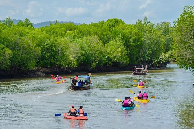 Half Day Mangrove Forest Kayaking Tour From Koh Lanta - Key Points