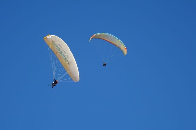 Half-Day Paragliding in Marrakech and Atlas Mountains - Activity Overview